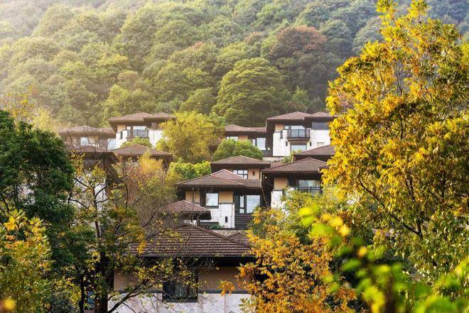 2025【】欢迎您售楼处电话地址备案价楼盘详情不朽情缘万科公望(万科公望售楼处)首页网站丨(图2)