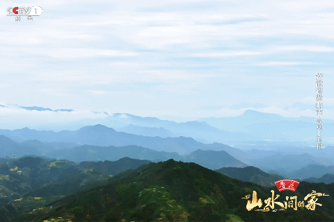 ：菊柿映古村 文旦香满园不朽情缘《山水间的家》(图2)