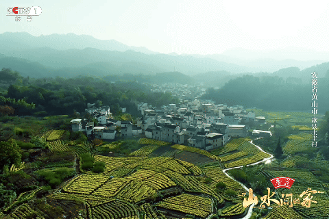 ：菊柿映古村 文旦香满园不朽情缘《山水间的家》(图3)