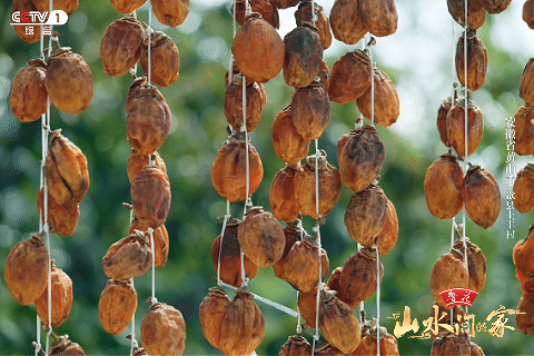 ：菊柿映古村 文旦香满园不朽情缘《山水间的家》(图4)
